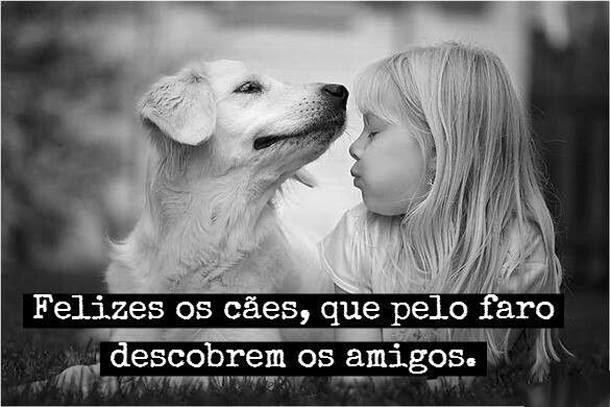 Clínica Veterinária Pêlos e Patas - Foto 3