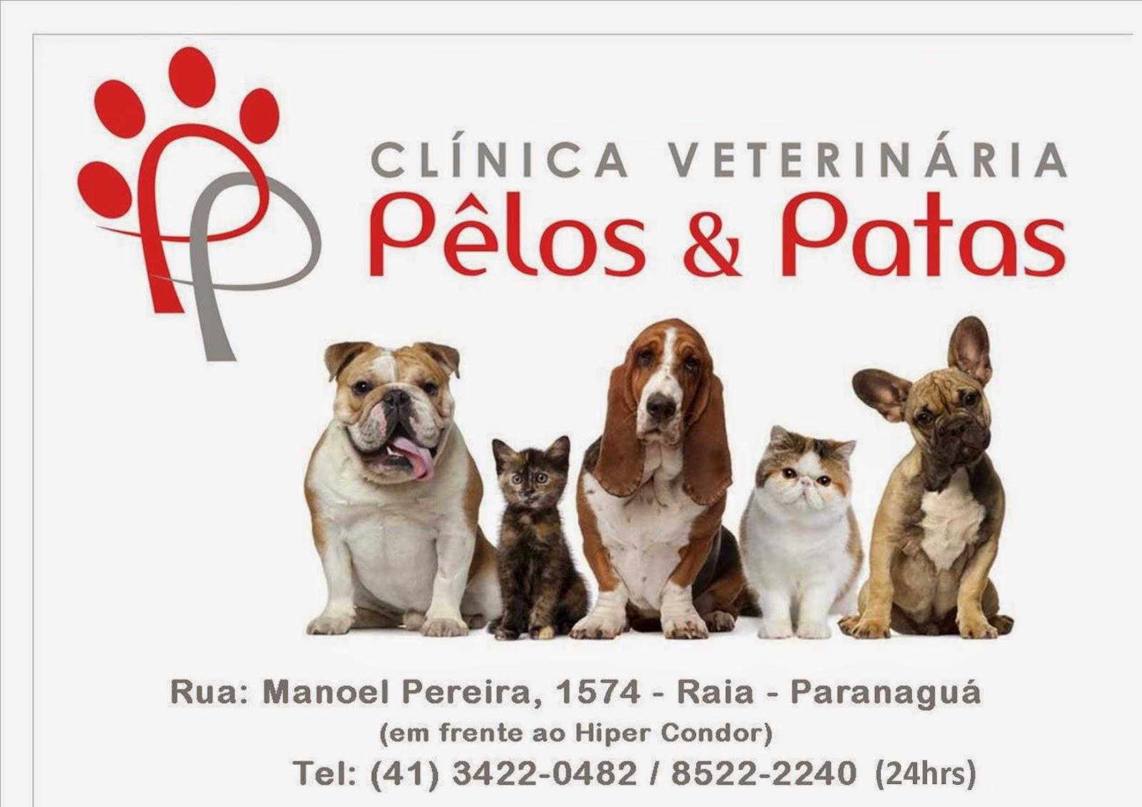 Clínica Veterinária Pêlos e Patas - Pet Shop em Paranaguá