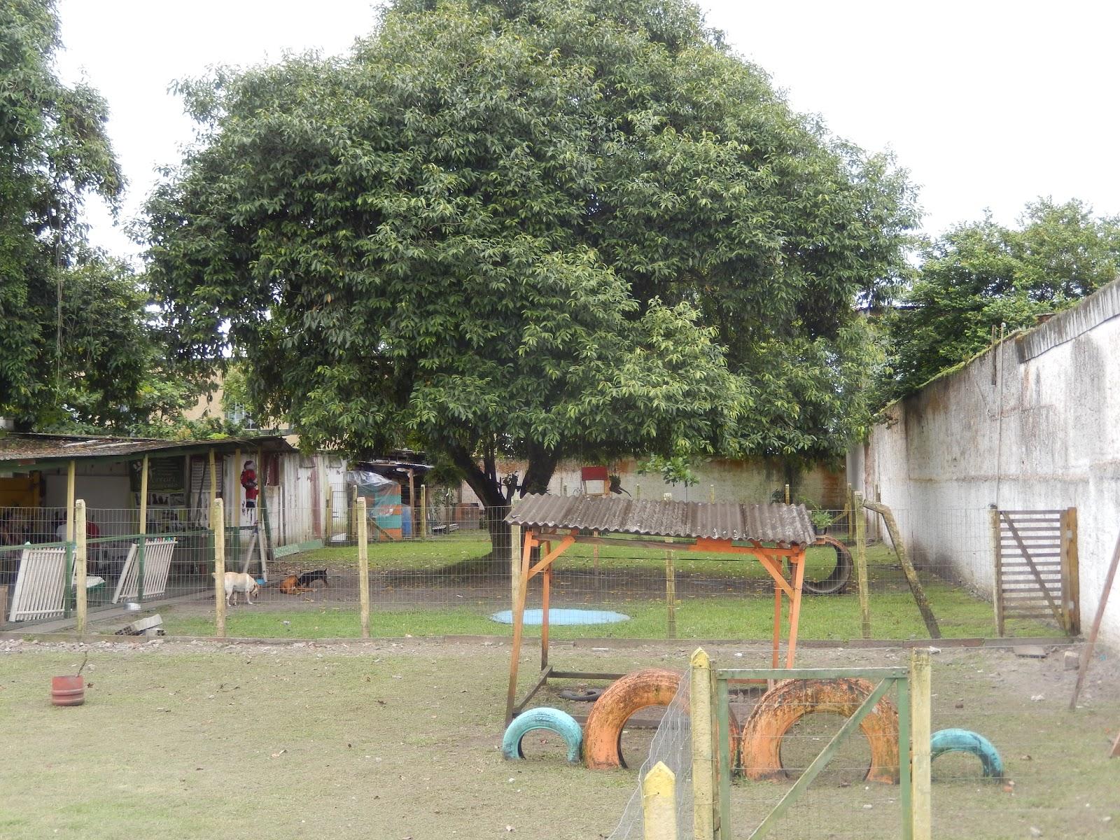 Cia do Cão - Foto 3