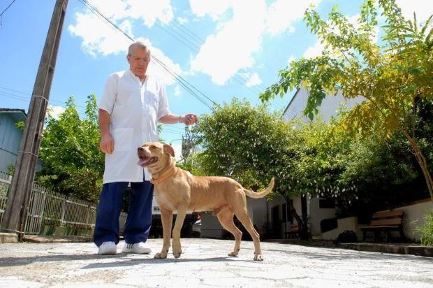 Clínica Veterinária Schweitzer - Pet Shop em Jaraguá do Sul