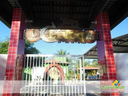 CLIVEQ-Clinica veterinaria de equinos