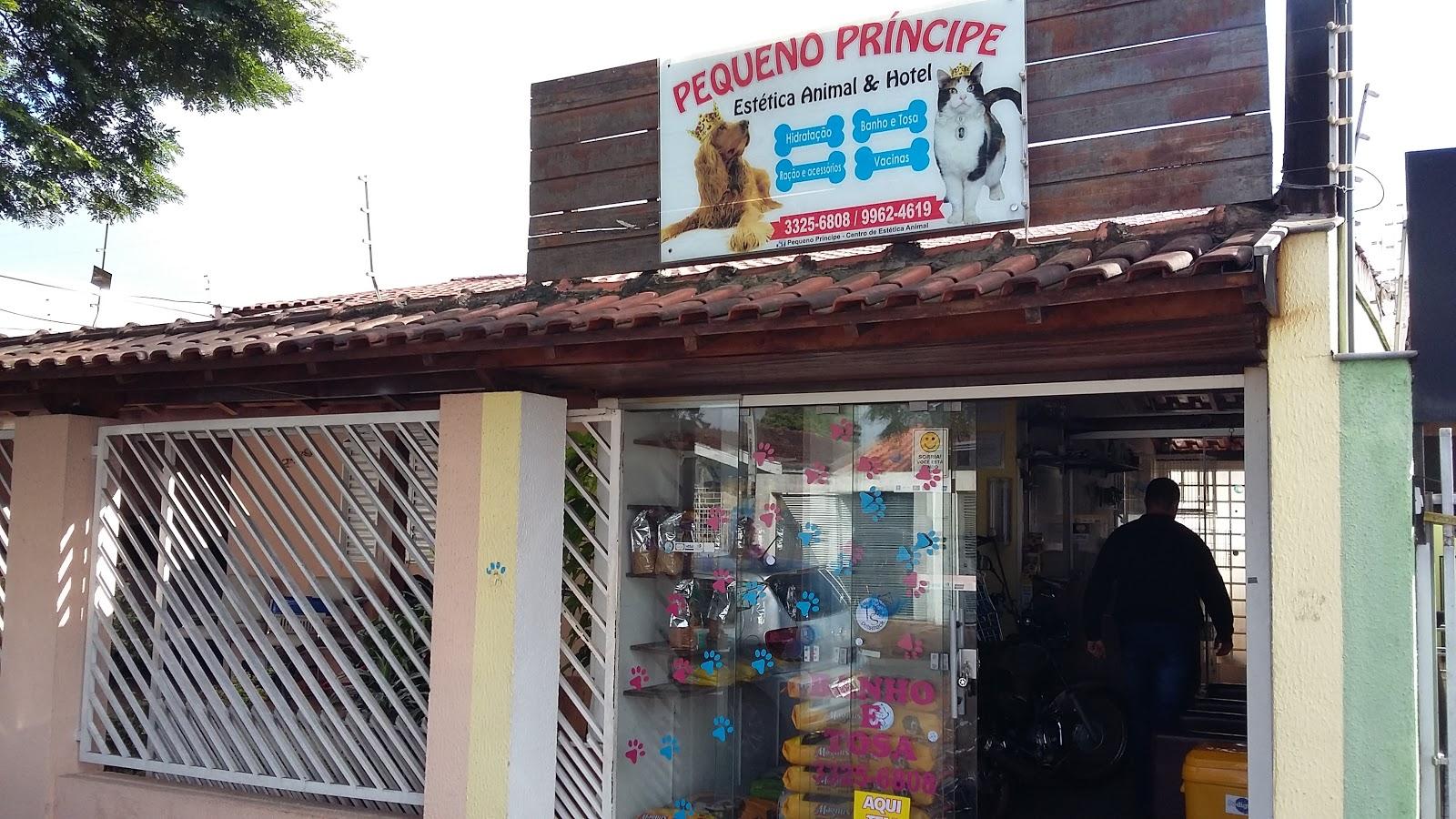 Pequeno Príncipe Estética Animal