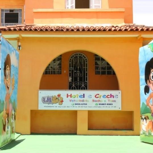Vira a Lata Creche e Hotelzinho para Cachorros