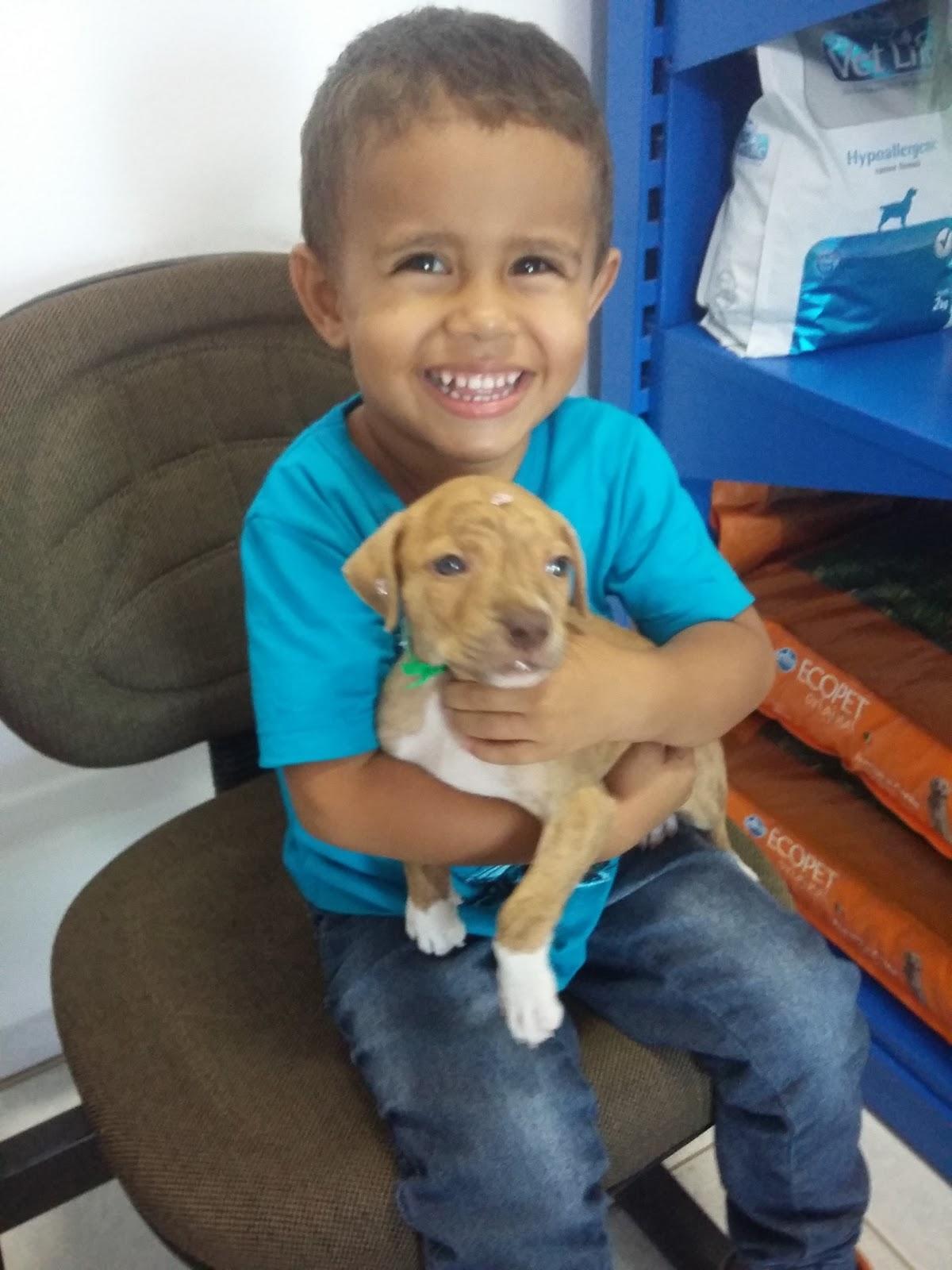 Clinica Veterinária 4 Patas