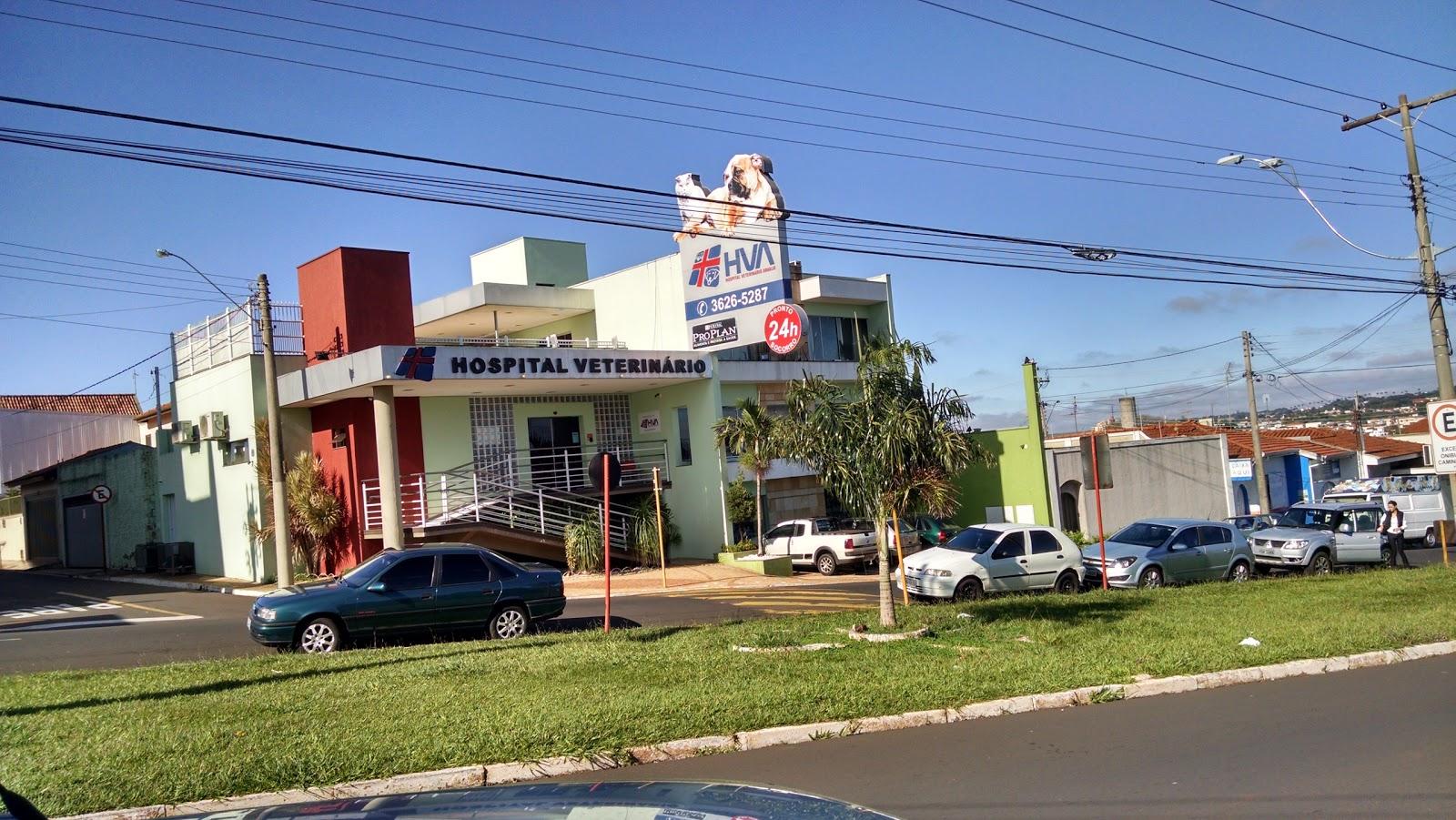 Hospital Veterinário - 24h