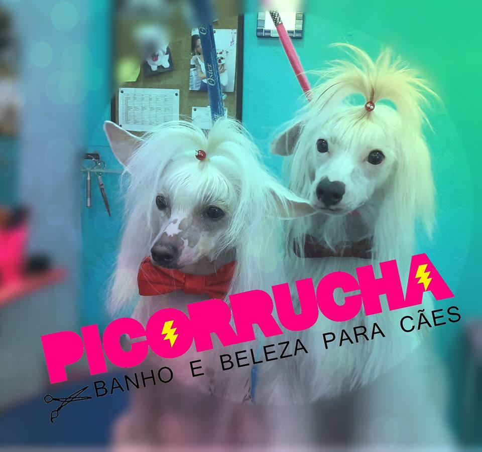 Picorrucha - Foto 3