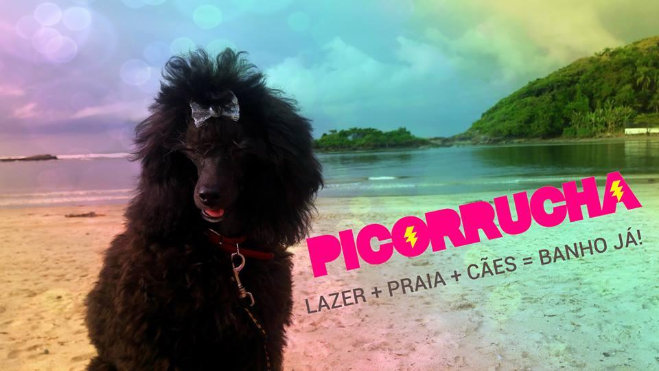 Picorrucha