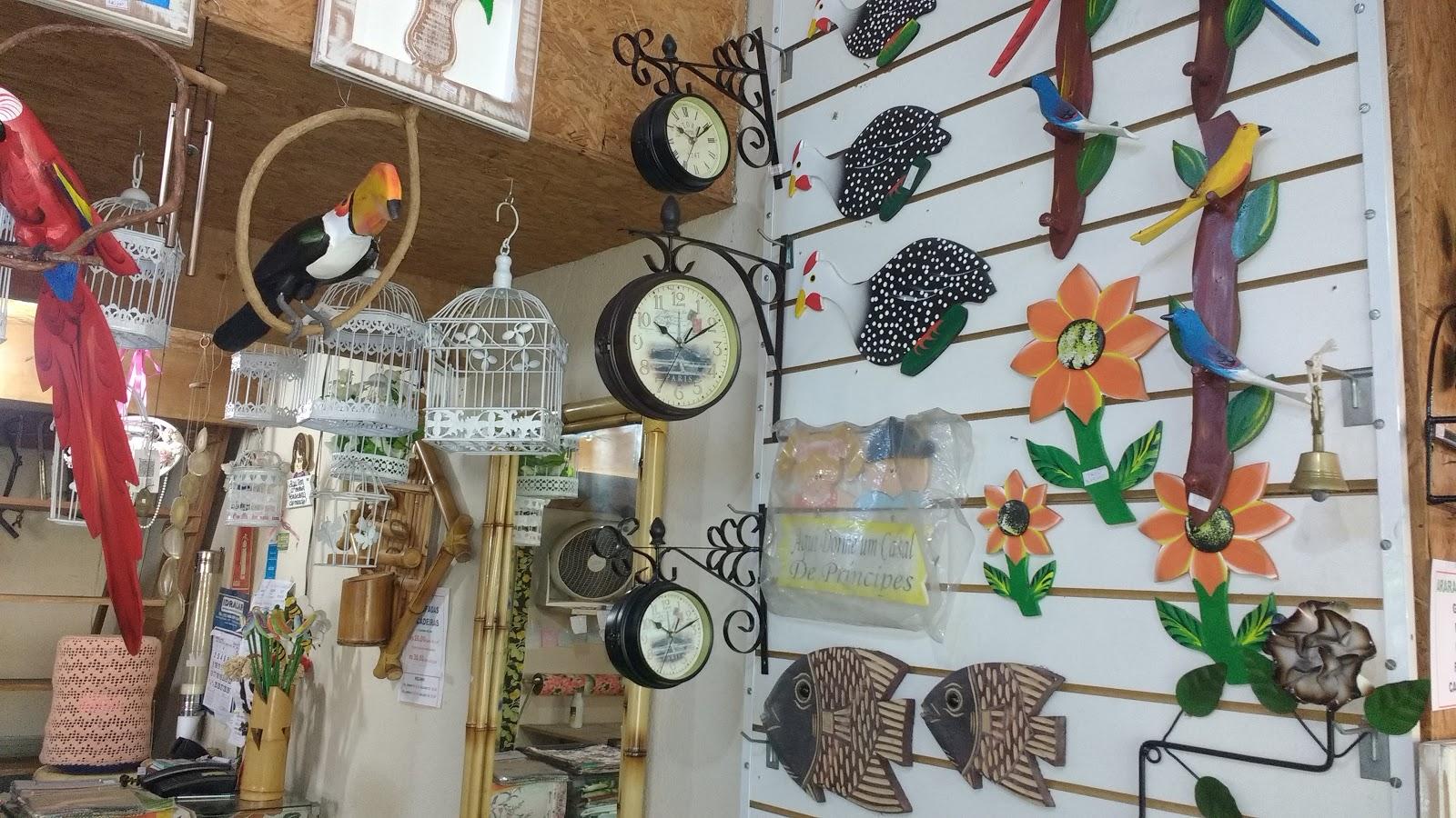 Banho e Tosa E Pet Escola Dom Pixote