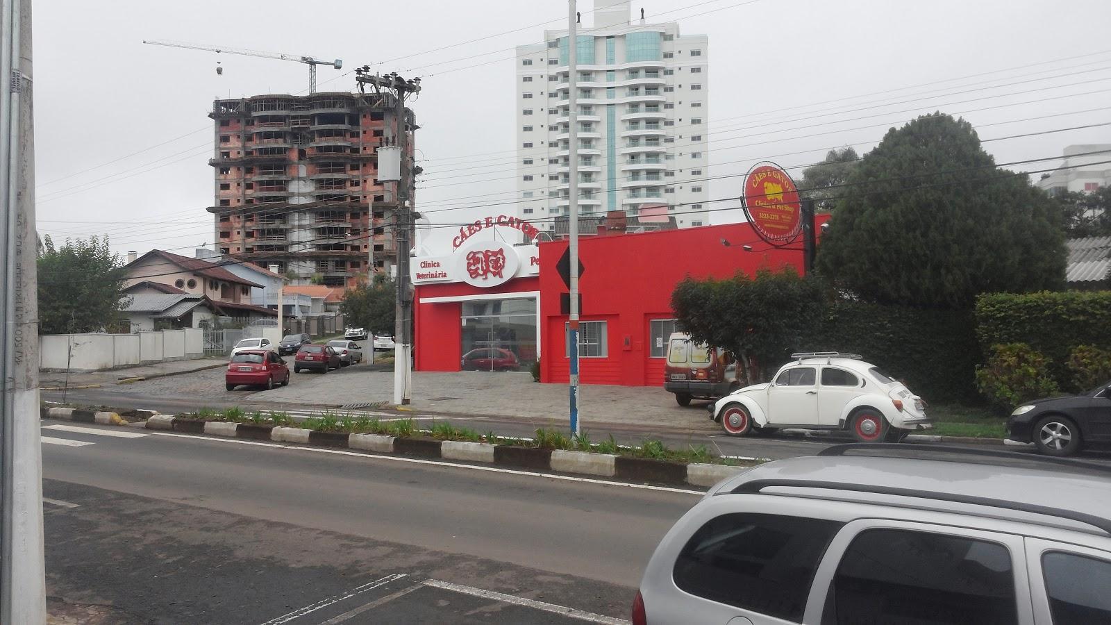 Clínica Cães e Gatos - Pet Shop em Lages