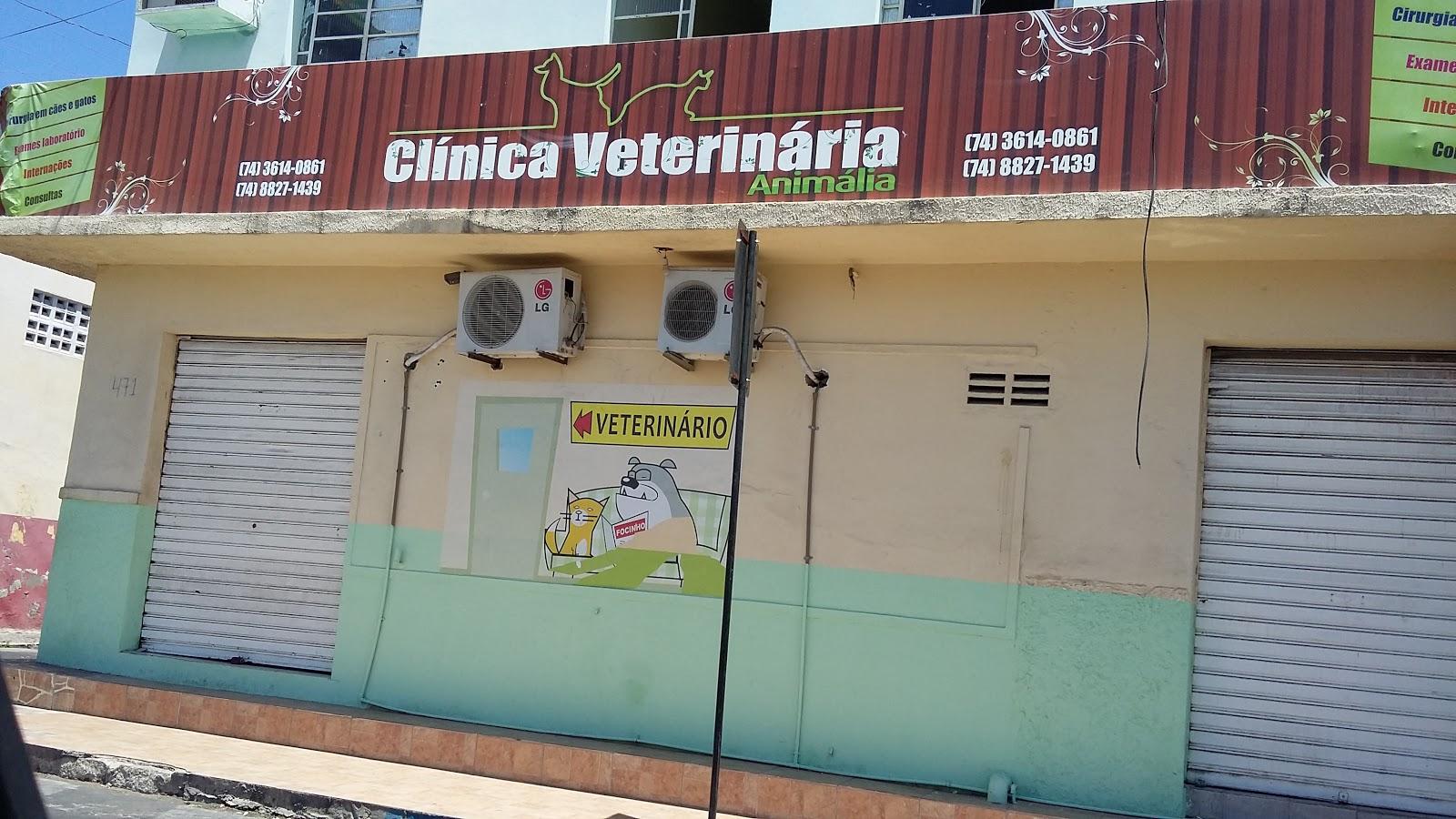 Animalia Clinica Veterinária
