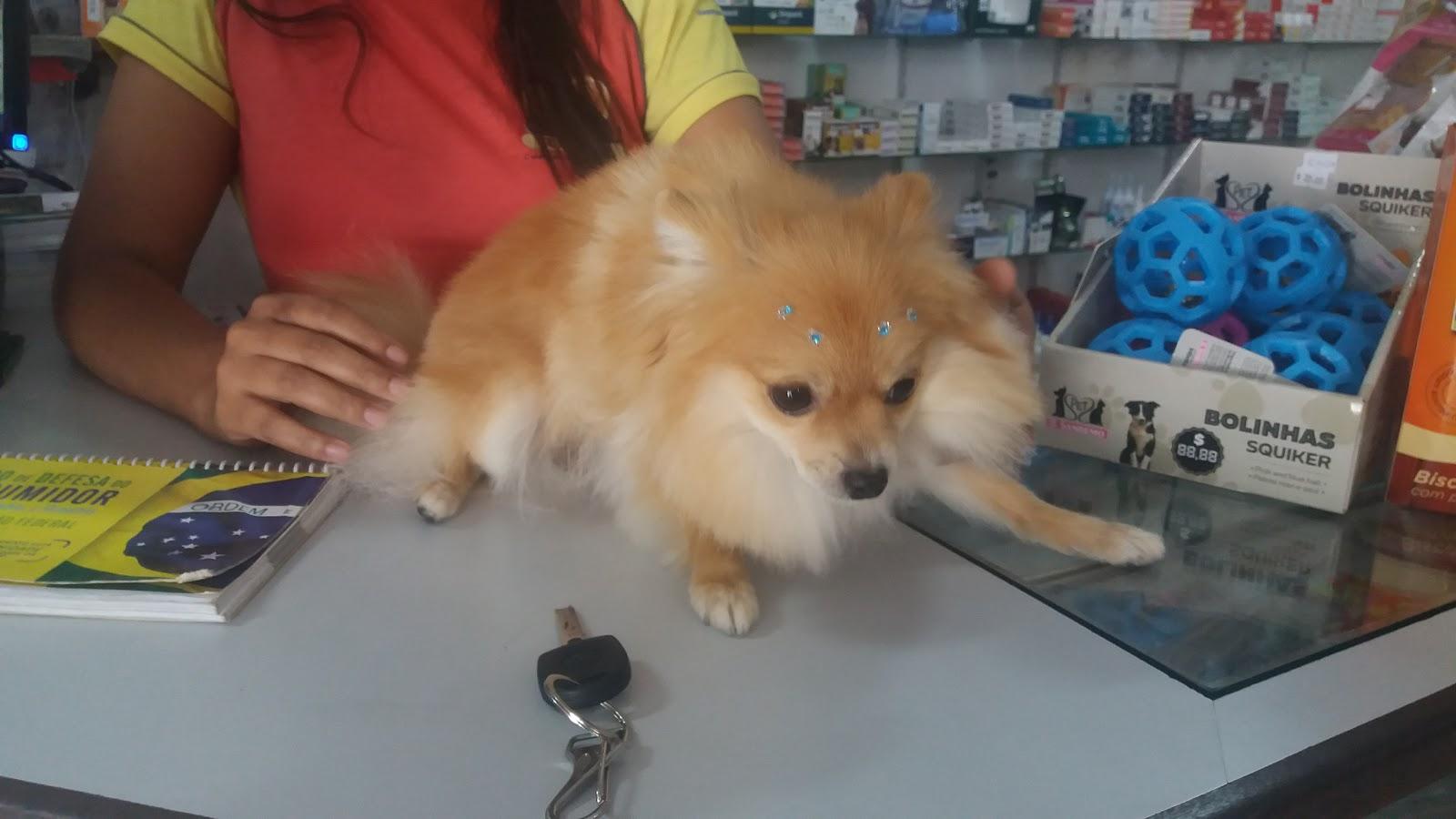 RN Pet - Foto 4