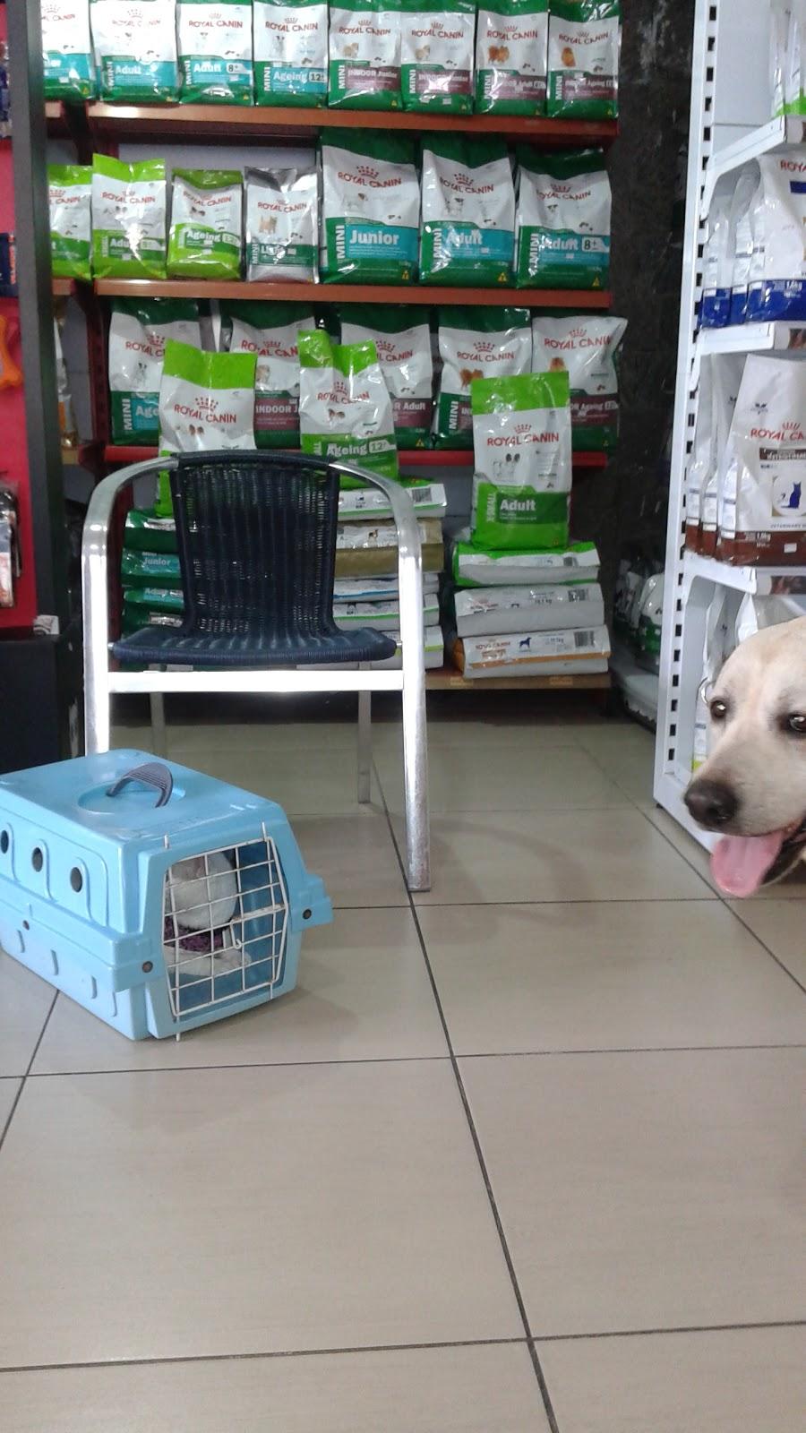 Clínica Veterinária Tico e Teco