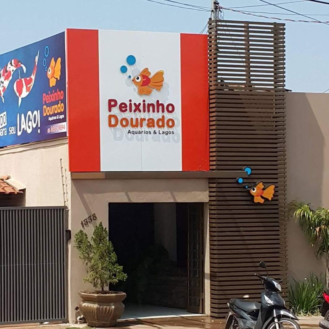 Peixinho Dourado - Foto 3