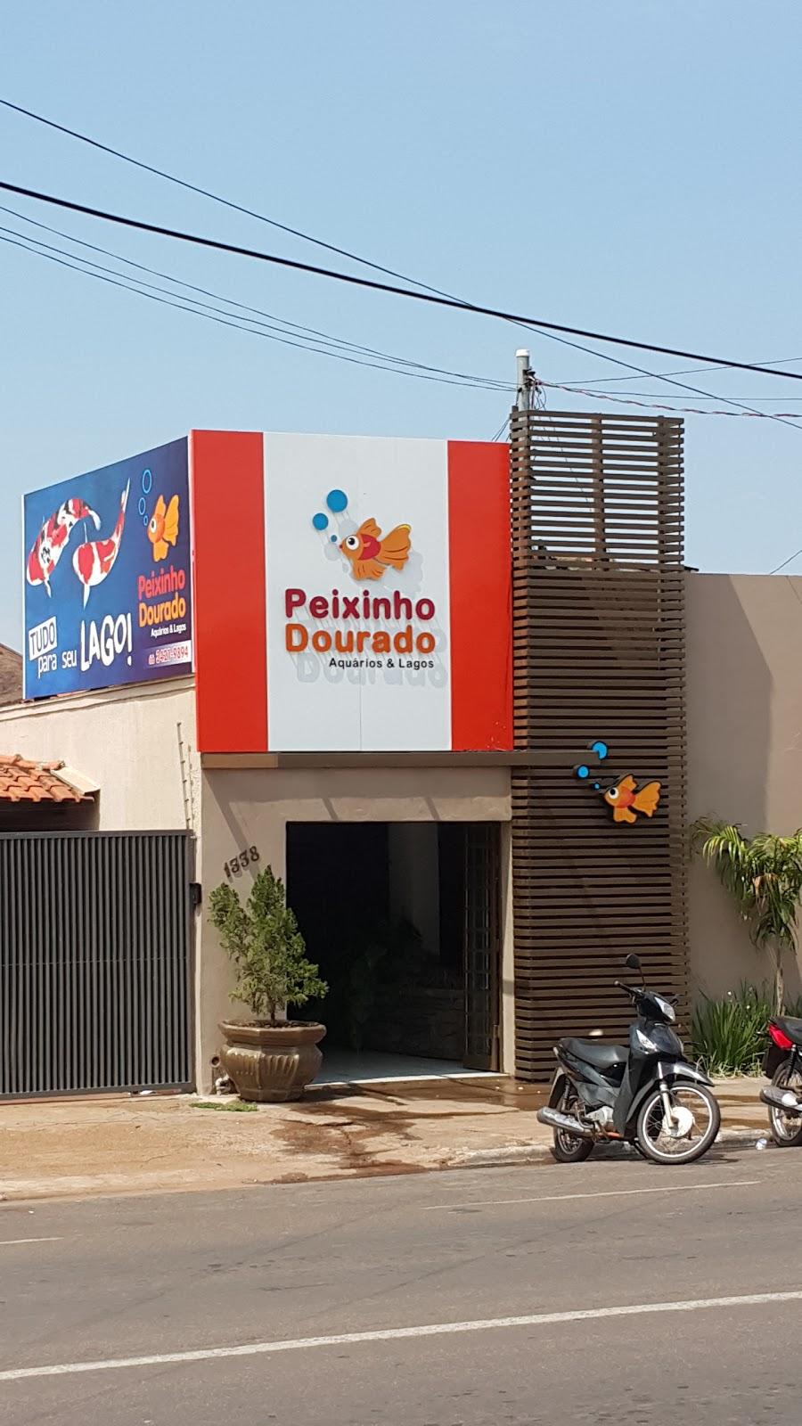 Peixinho Dourado - Foto 2