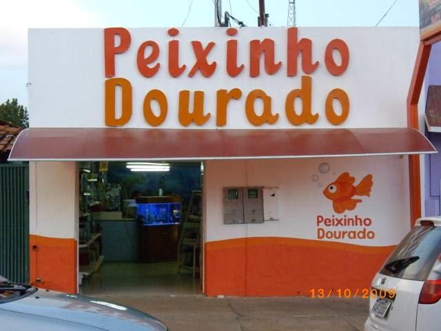 Peixinho Dourado - Foto 4