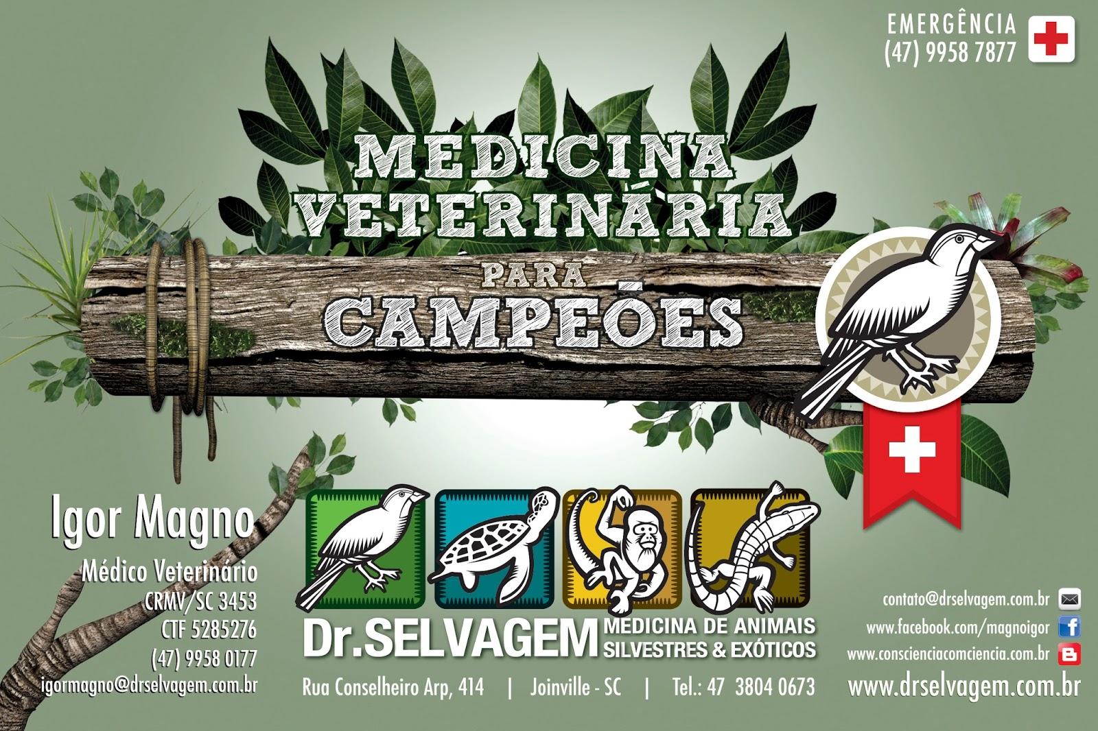 Dr. Selvagem - Foto 5