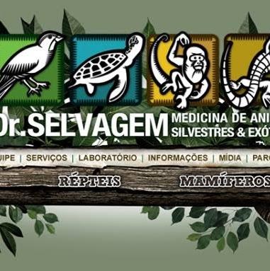 Dr. Selvagem - Pet Shop em Joinville