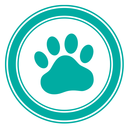 Plus Vet Veterinary Hospital