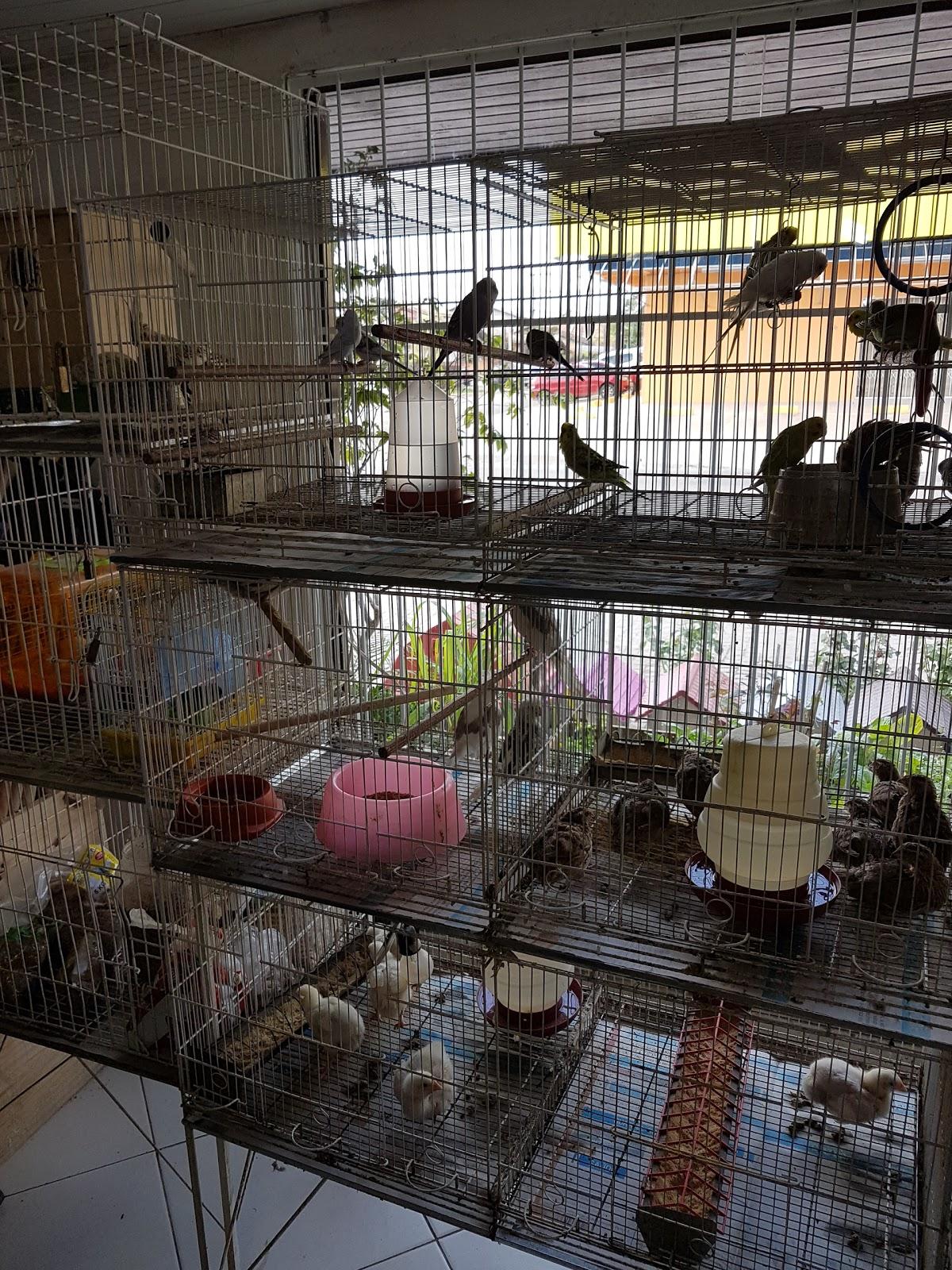 Agricultural Silva (Silva Agropet)