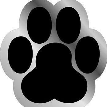 Estilo Pet Joinville