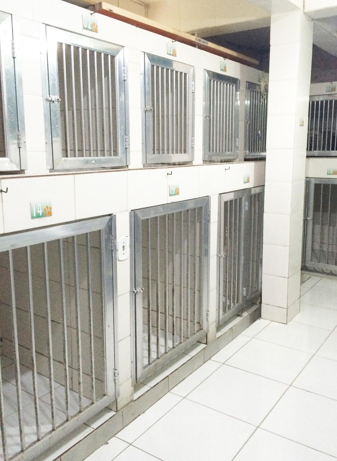 Animal Planet Veterinary Clinic