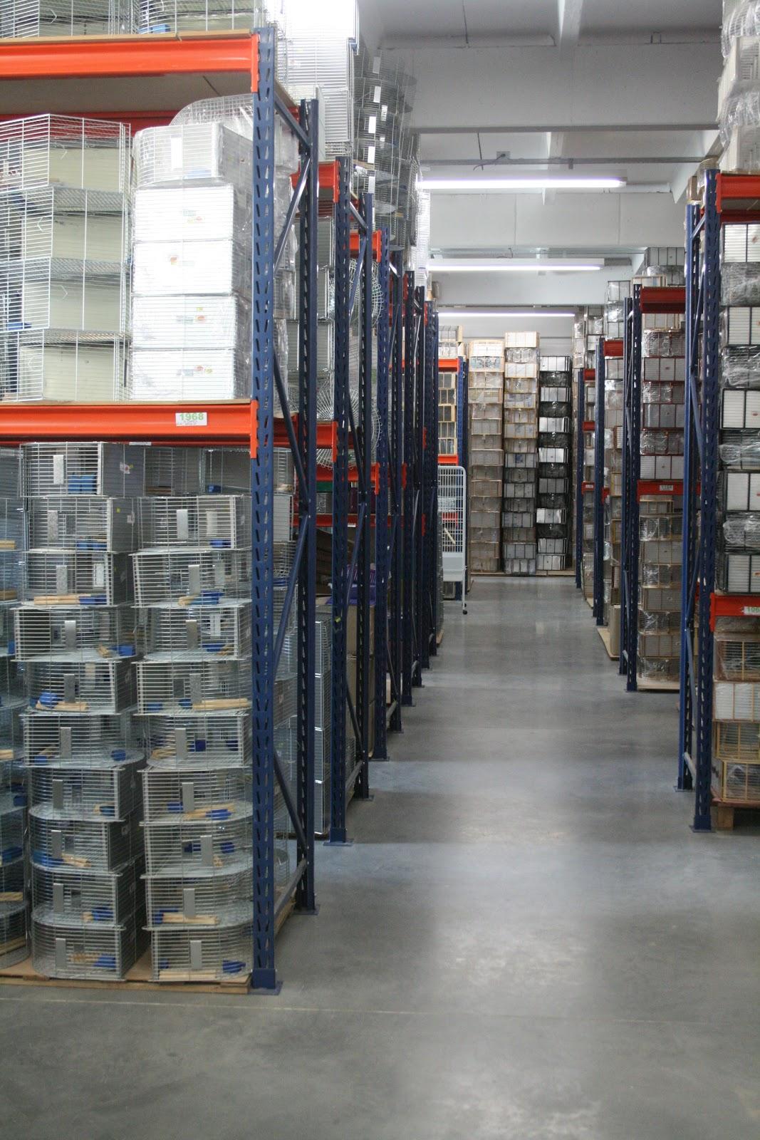 MS Pet Ind e Com de Produtos para Animais Domésticos