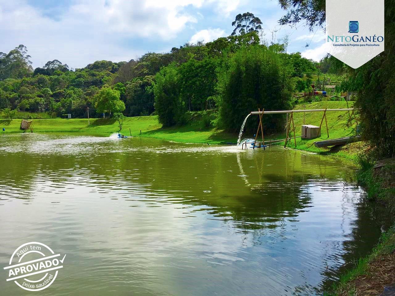 Neto Ganéo Consultoria para Piscicultura