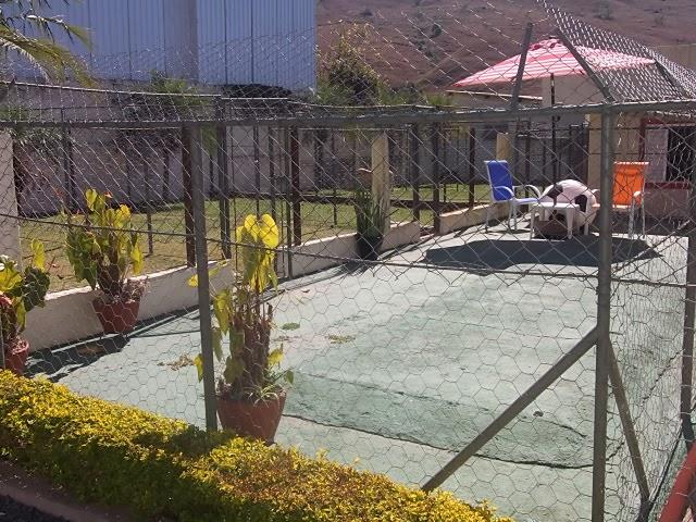 CLÍNICA VETERINÁRIA VILLA PET - MEDICINA VETERINÁRIA - Foto 5