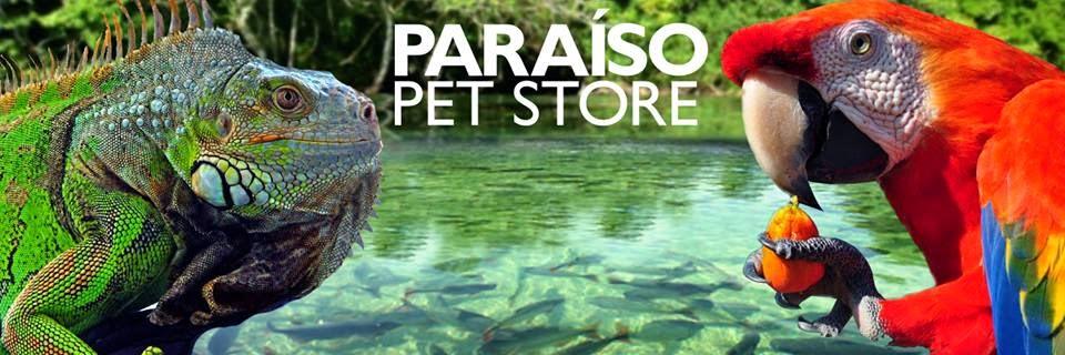 Paraíso Pet Store - Foto 2