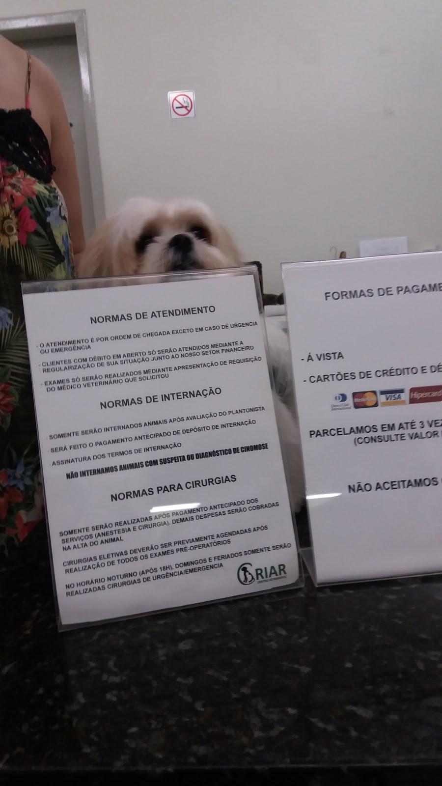 Criar Centro Veterinário - Pet Shop em Teresina