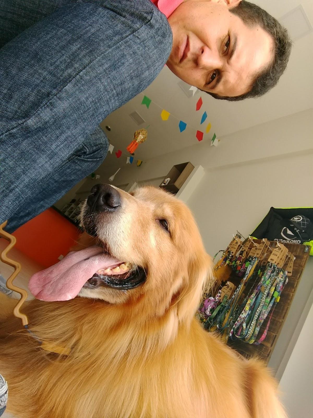 Emporium Cães e Gatos - Foto 5