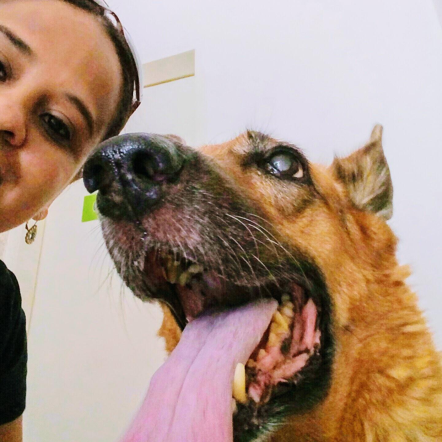Muzzles & CIA - VETERINARY CLINIC AND PET SHOP - Foto 3