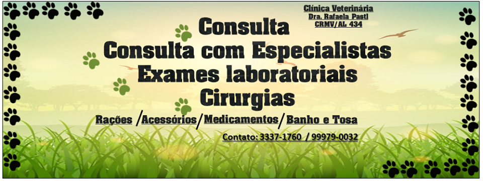 Muzzles & CIA - VETERINARY CLINIC AND PET SHOP - Foto 2