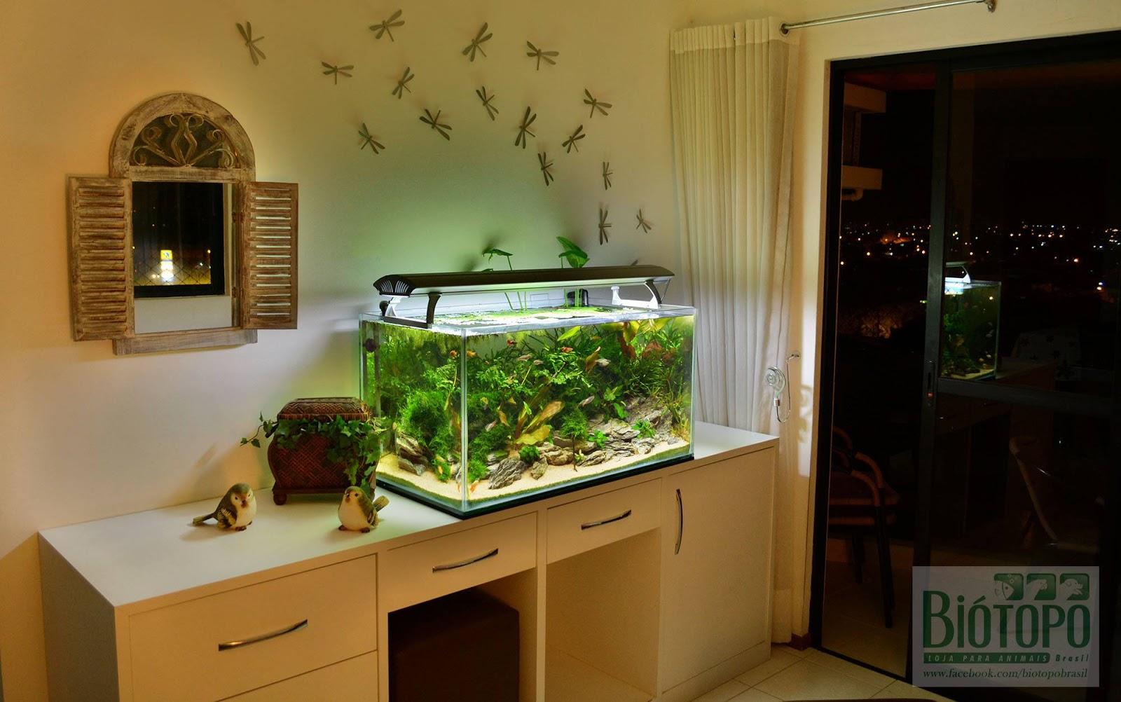 Biótopo Loja para Animais