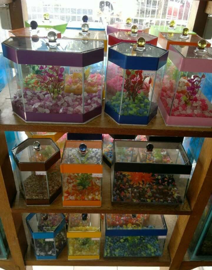 Pet Shop - Foto 3