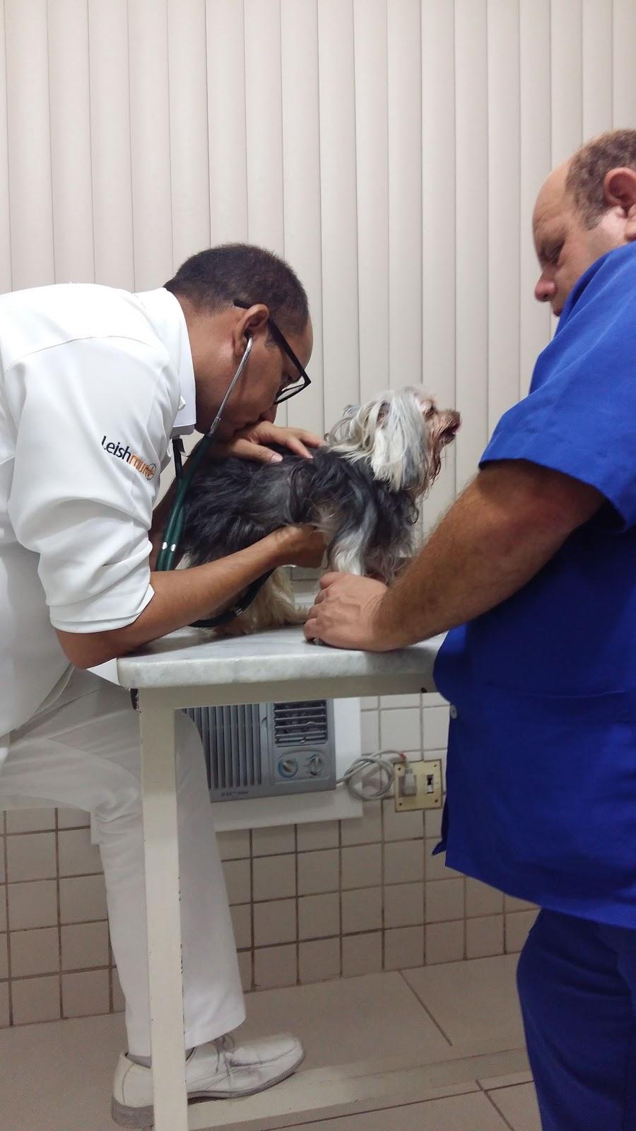 Hospital Veterinário Pequenos Animais - Foto 2