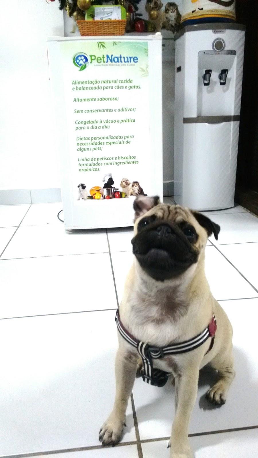 CenterVet 24H - Pet Shop em Natal