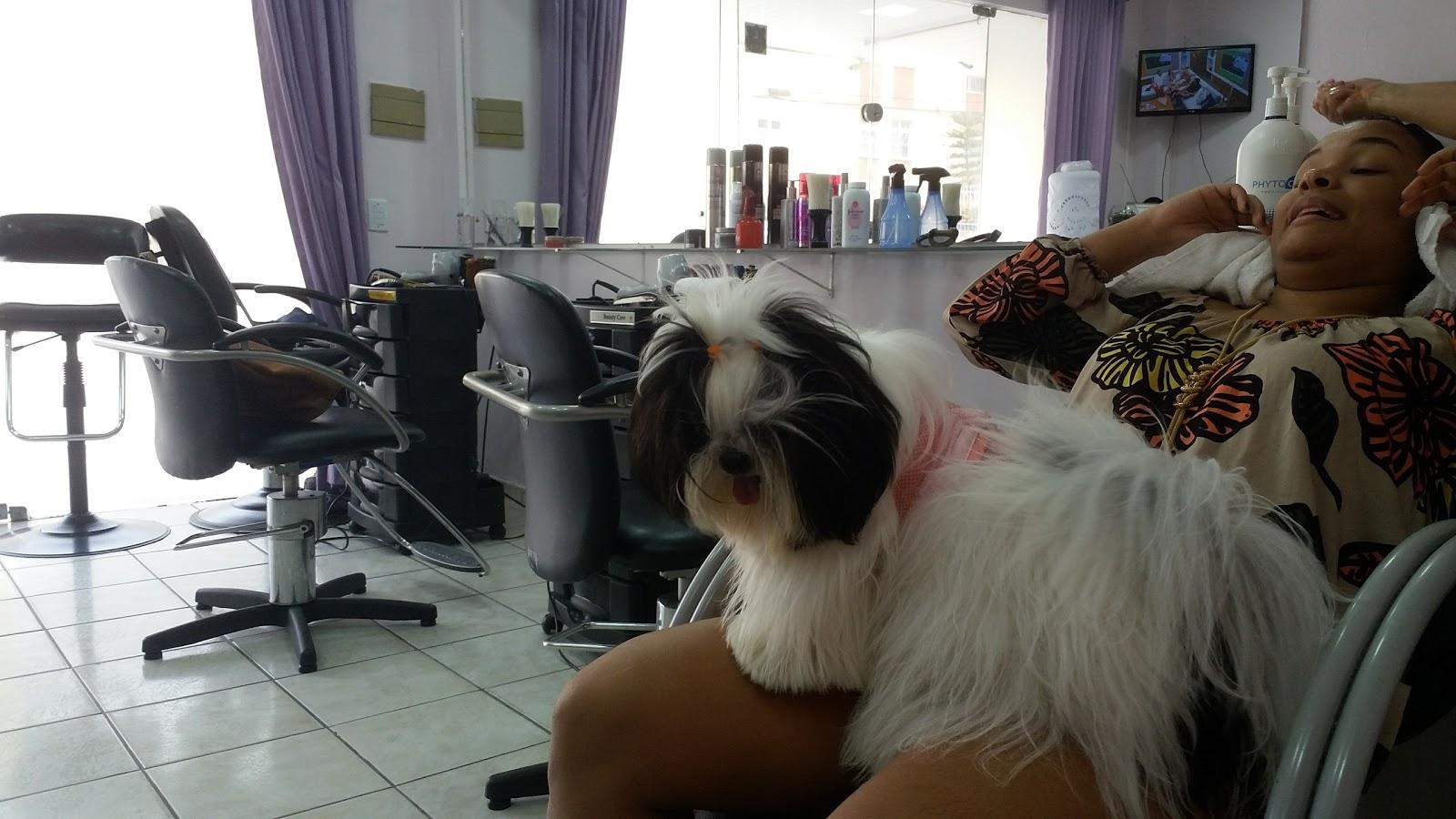 Bicho.com Pet Shop - Pet Shop em Natal