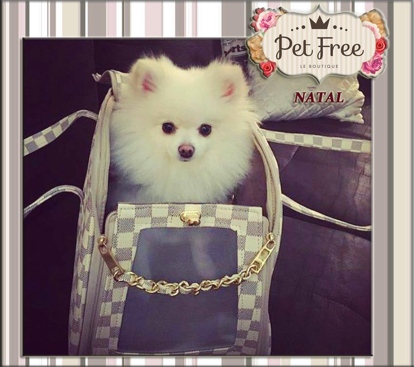Petfree Natal - Foto 5