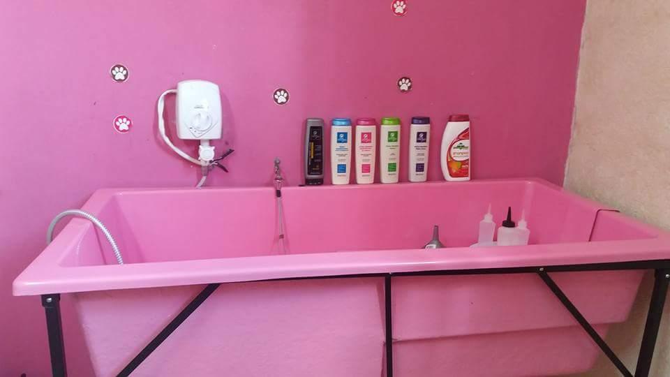 PRIPETZ - Foto 2