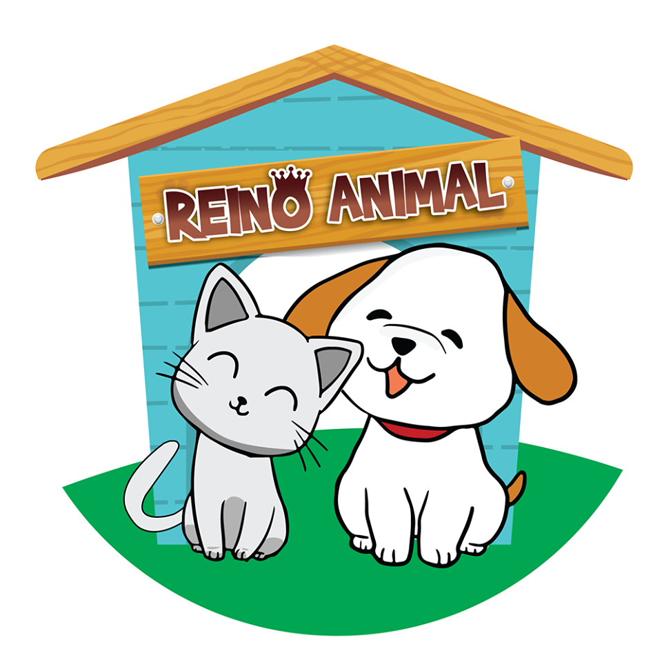 Veterinary Hospital Animal Kingdom - Pet Shop em São Gonçalo do Amarante