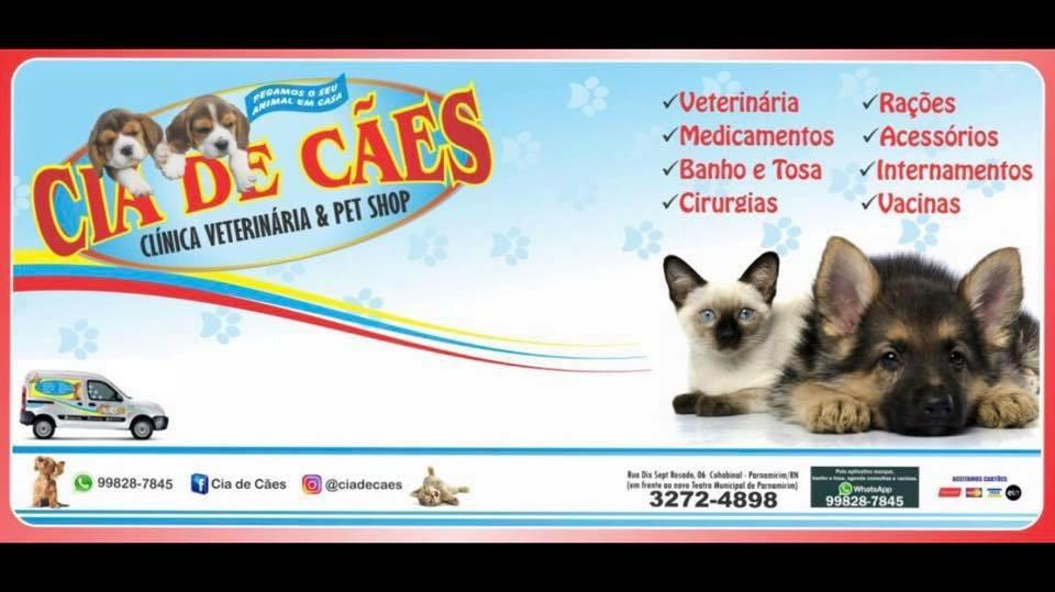 Cia de Cães - Foto 2