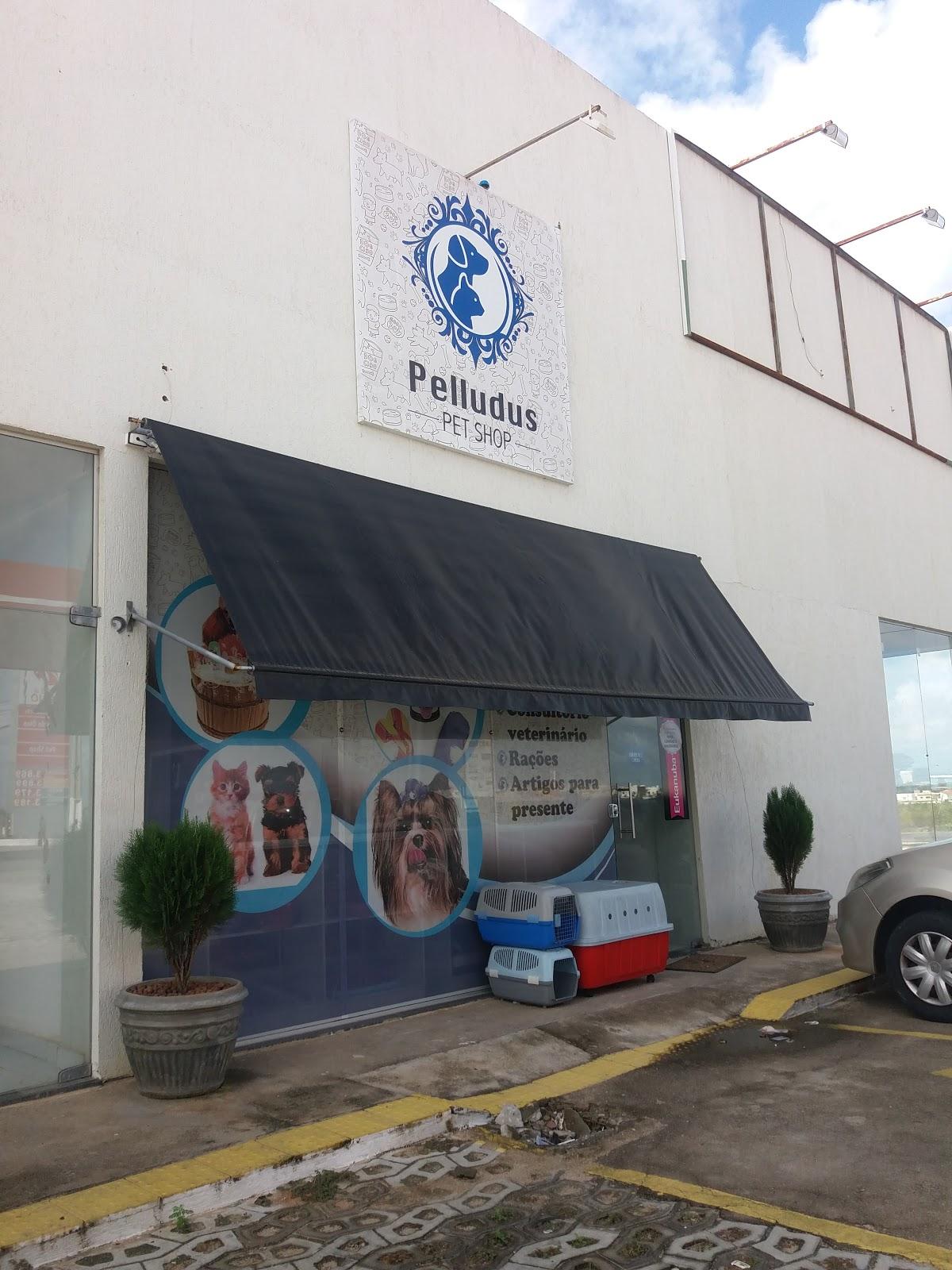 Pelludus Pet Shop - Pet Shop em Parnamirim