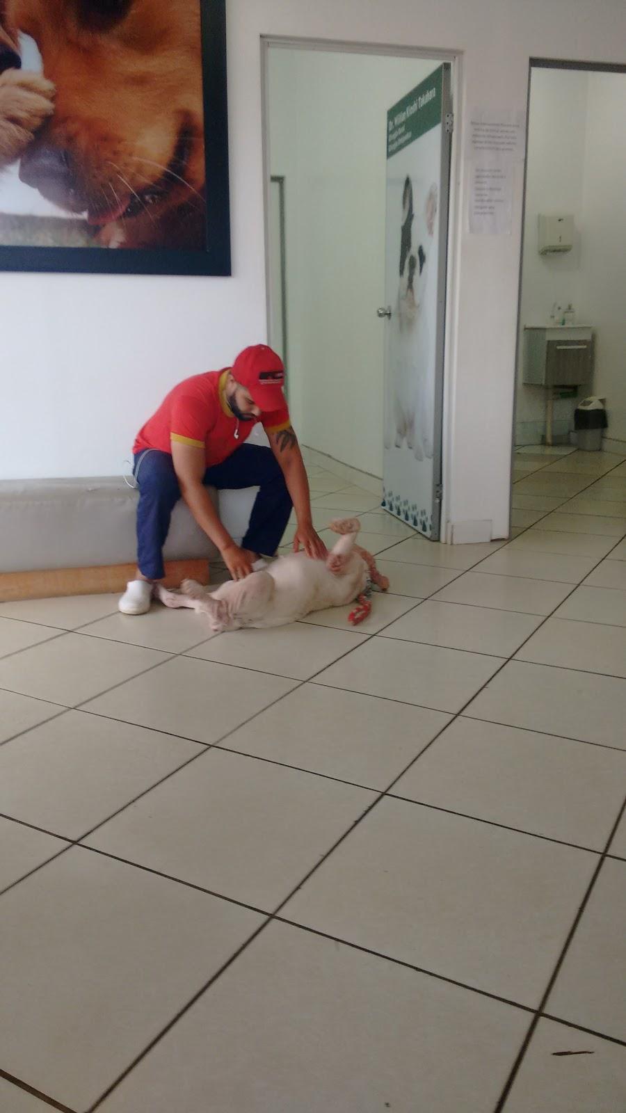 Animalclin Clinica Veterinária - Foto 2