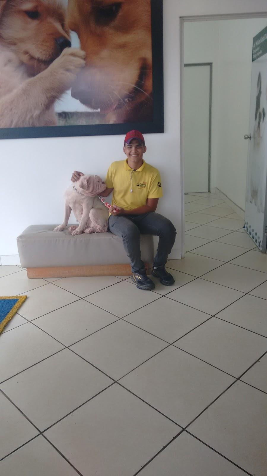 Animalclin Clinica Veterinária - Foto 3