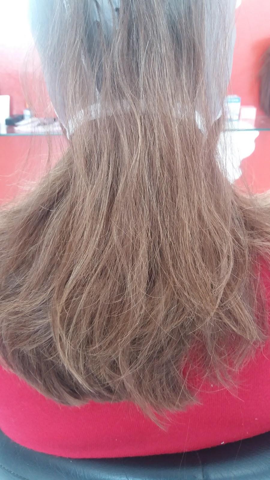 Animal Chic Pet Shop