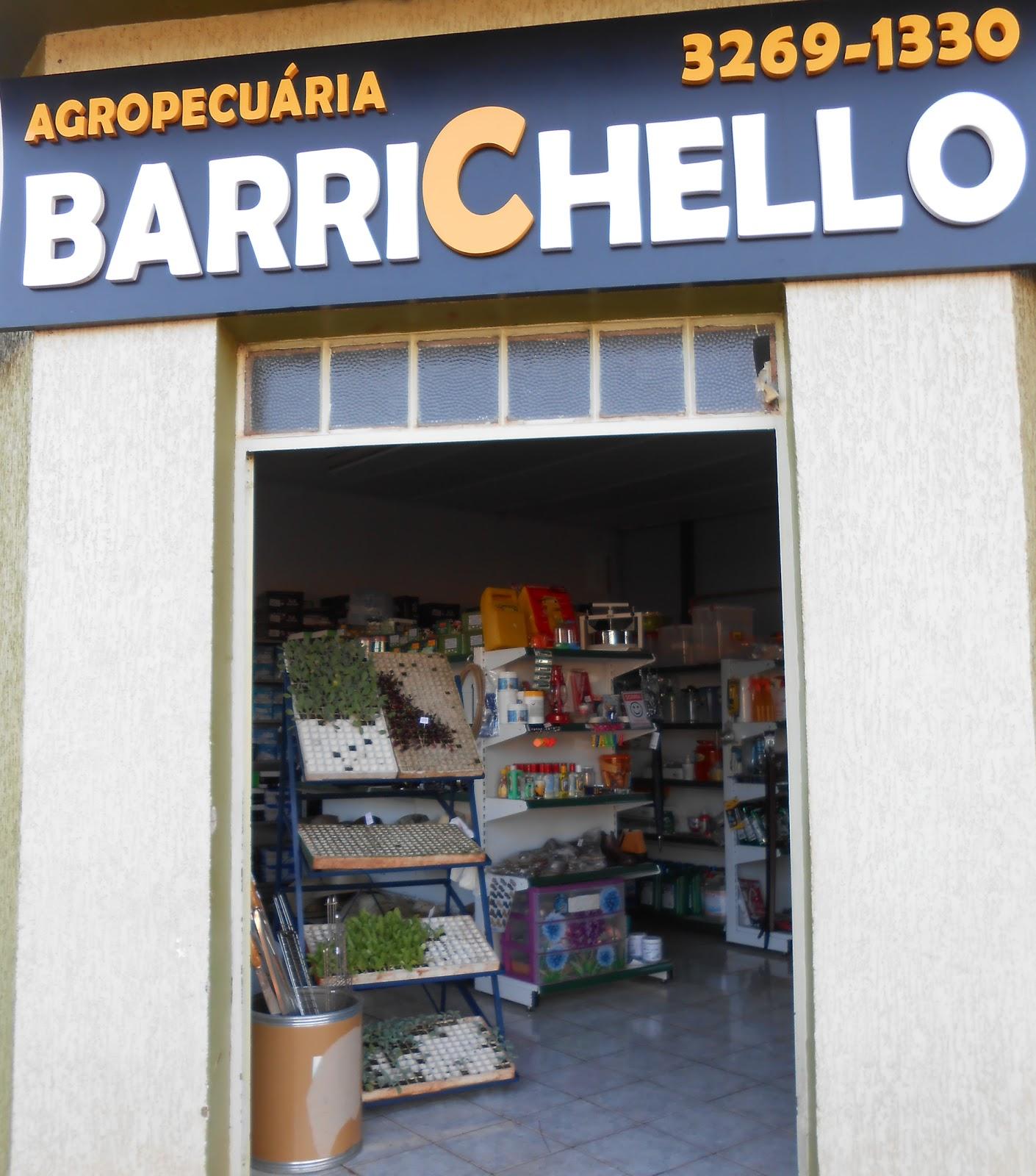 Agropecuária Barichello - Foto 5
