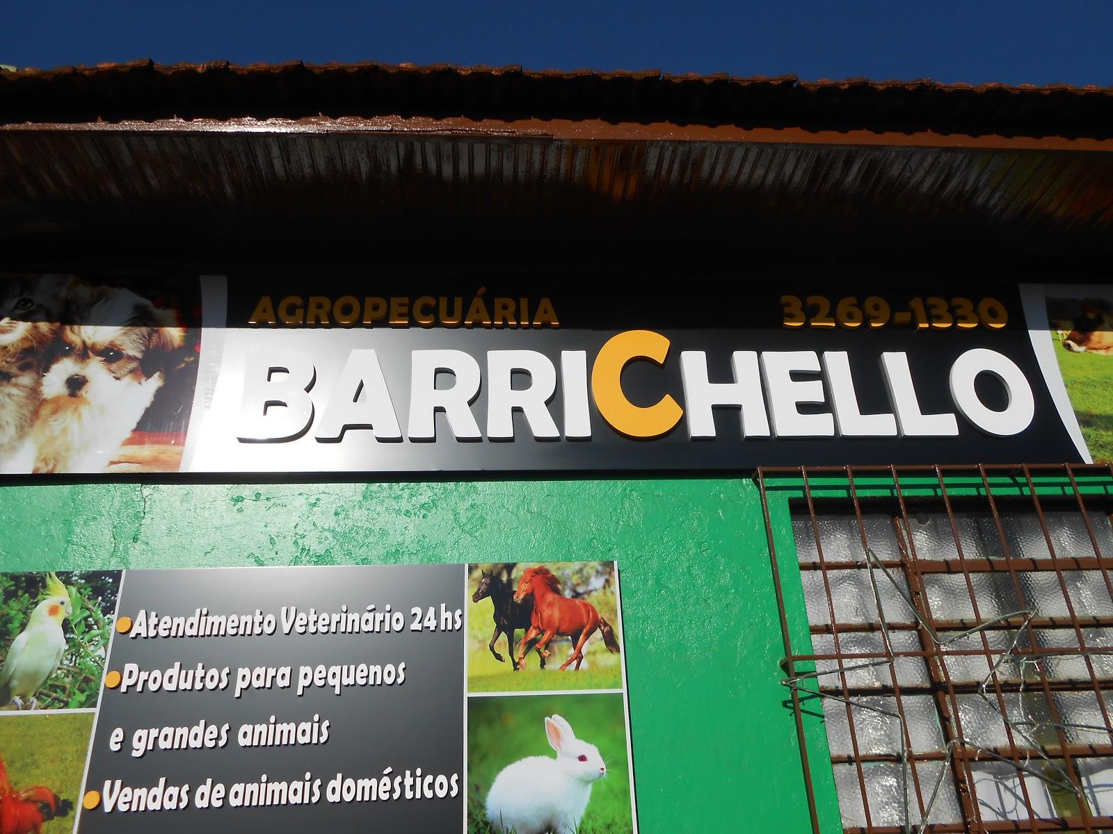 Agropecuária Barichello - Foto 4