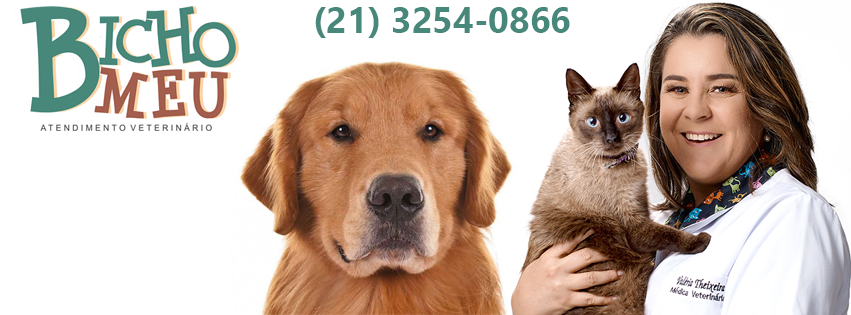 Bicho Meu Atendimento Veterinário na Região Oceânica - Pet Shop em Niterói