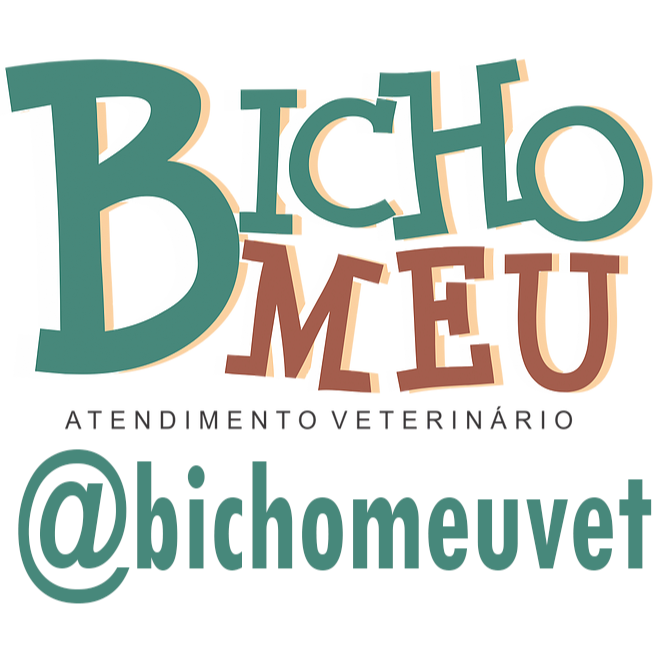 Bicho Meu Atendimento Veterinário na Região Oceânica - Foto 2
